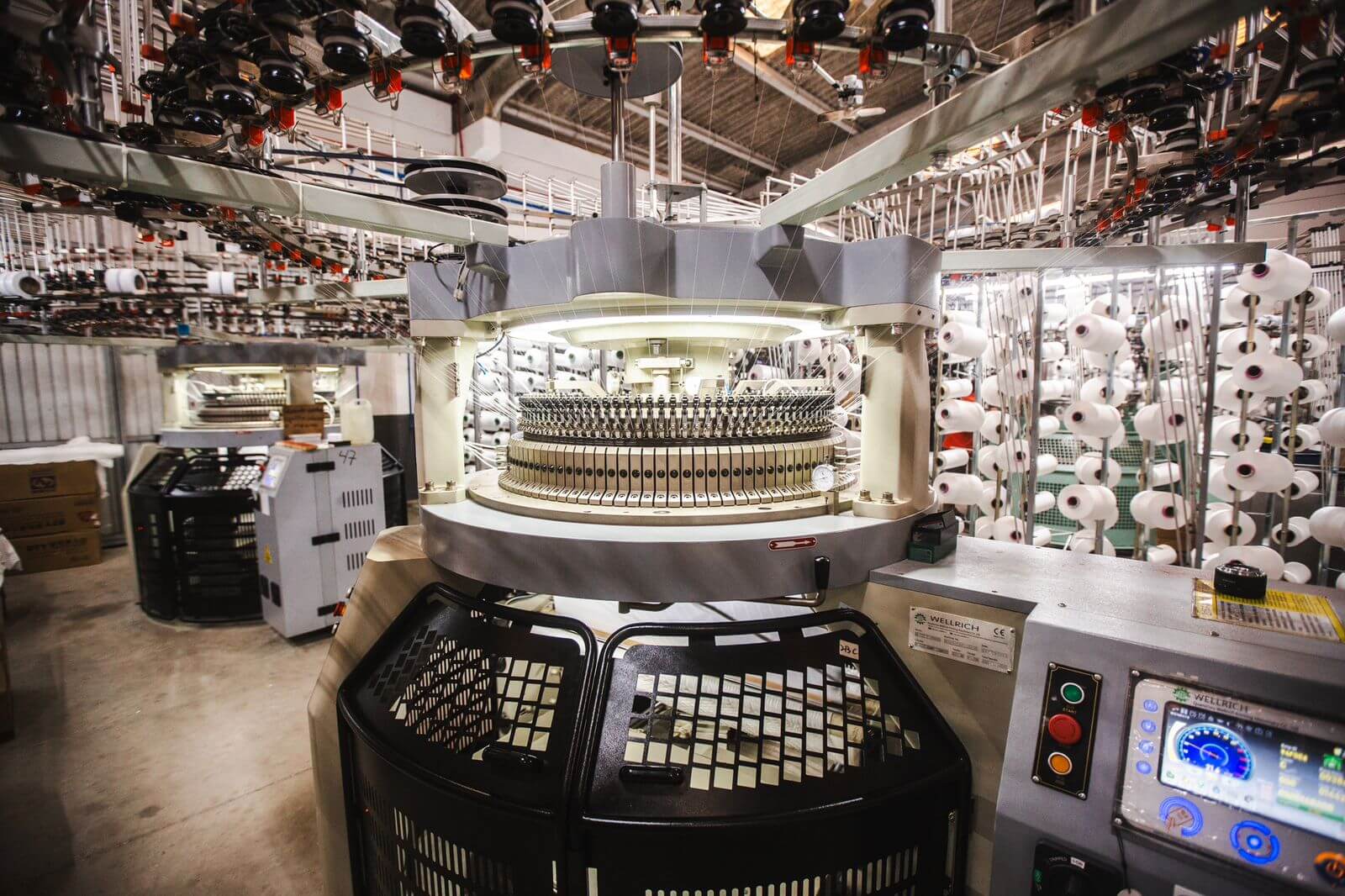 WhatsApp Image 2024-07-31 at 13.26.30 (1)