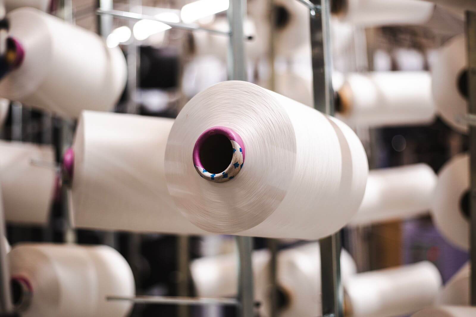 WhatsApp Image 2024-07-31 at 13.26.32 (2)