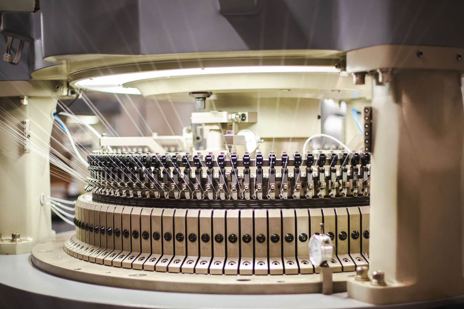 WhatsApp Image 2024-07-31 at 13.26.33 (2)