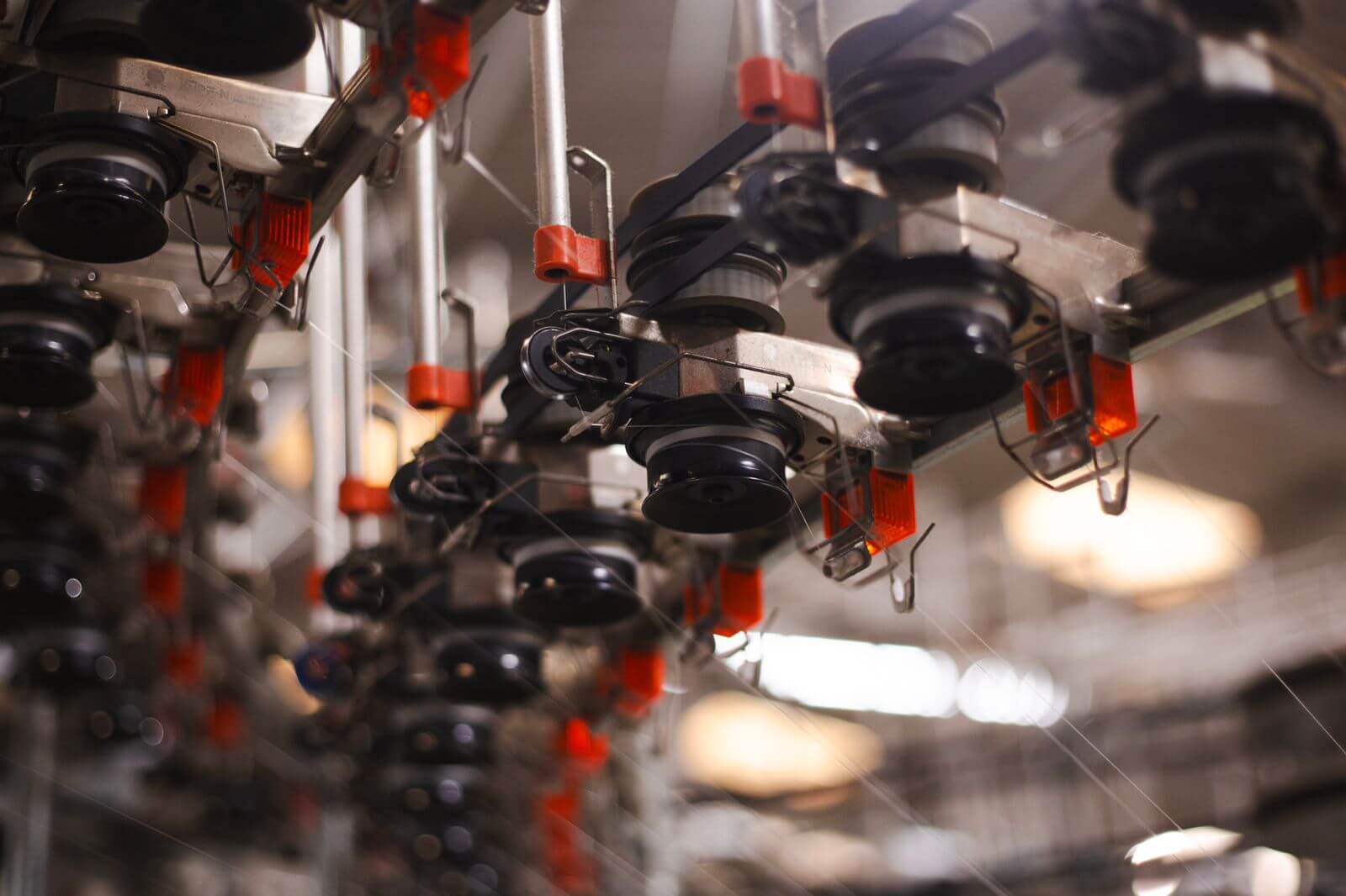 WhatsApp Image 2024-07-31 at 13.26.34 (1)